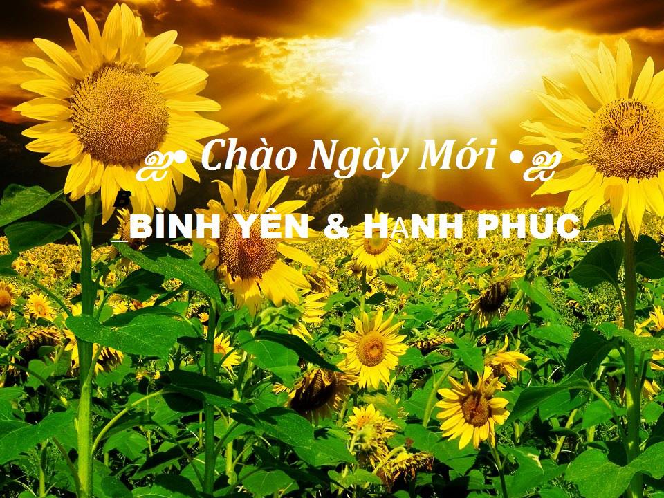 Tin Nhắn Chào Buổi Sáng